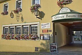 Hotel & Gasthof Grüner Baum