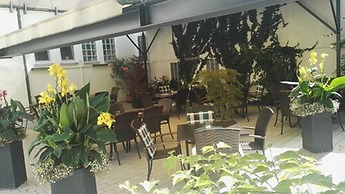 Hotel & Gasthof Grüner Baum