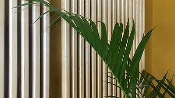 MD Modern Hotel - Jardines