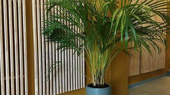 MD Modern Hotel - Jardines