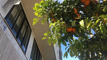 MD Modern Hotel - Jardines