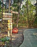 Bluewater Sumilon Island Resort