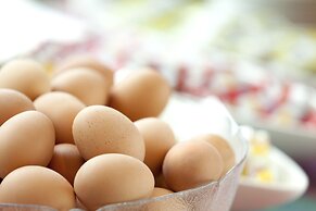 Holiday Inn Express Zurich Airport by IHG