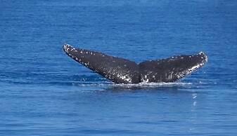 Sanctuary Lakes Fauna Retreat