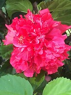 Sanctuary Lakes Fauna Retreat