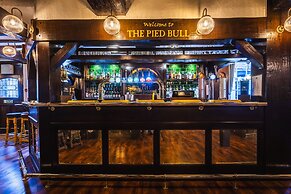 The Pied Bull