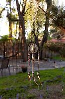 Dreamcatcher Bed and Breakfast