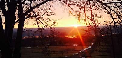 Magnolia Place Bed & Breakfast