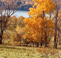 Magnolia Place Bed & Breakfast