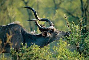 Nkomazi Game Reserve by NEWMARK