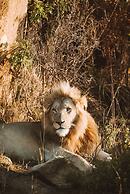 Nkomazi Game Reserve by NEWMARK