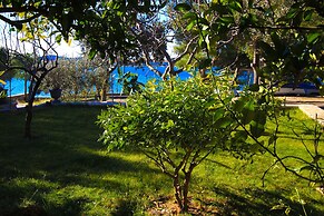 Pansion Zlatna Ribica