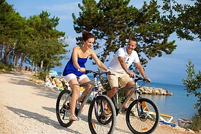 Pansion Zlatna Ribica