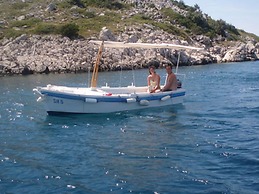 Pansion Zlatna Ribica