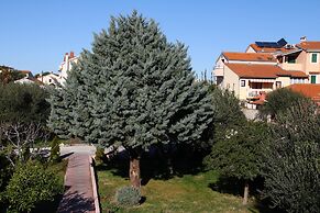 Pansion Zlatna Ribica