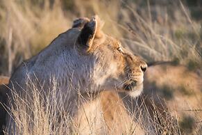 aha Thakadu River Camp