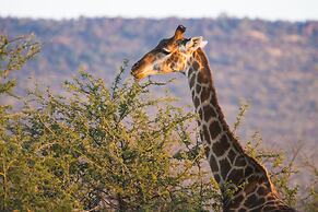aha Thakadu River Camp