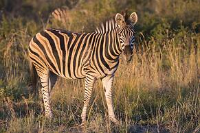 aha Thakadu River Camp