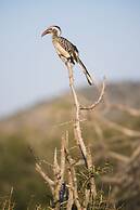 aha Thakadu River Camp