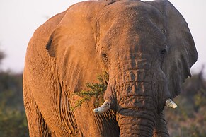 aha Thakadu River Camp