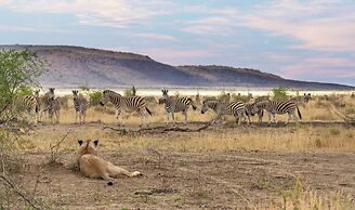 Tuningi Safari Lodge