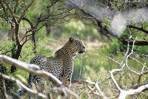 Tuningi Safari Lodge