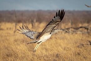 Tuningi Safari Lodge