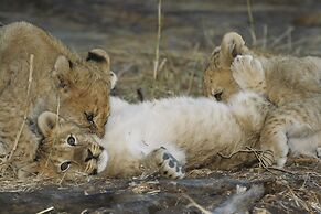 Tuningi Safari Lodge