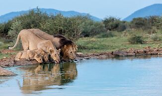 Tuningi Safari Lodge