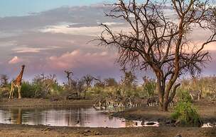 Tuningi Safari Lodge