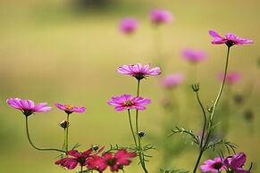 Pai Hotsprings Spa Resort