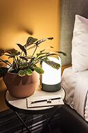 The Jensen Potts Point