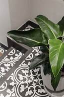 The Jensen Potts Point