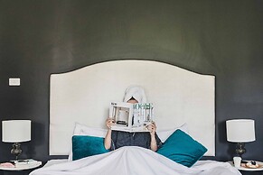 High Cross Randwick by Sydney Lodges