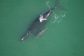 Lavender Manor Guest Lodge