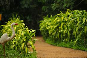 Vivaz Cataratas Hotel & Resort