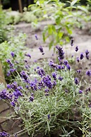 Hotel Fidder - Patrick's Whiskybar