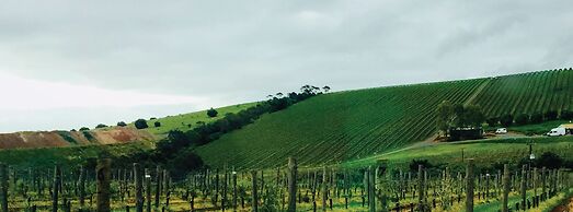 McLaren Vale Studio Apartments