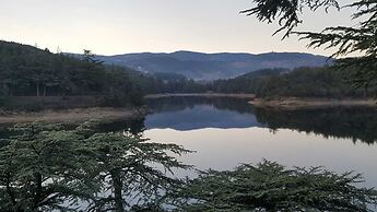 The Originals City, Hôtel La Siesta