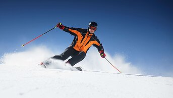 Pleasant Valley Motel West Stockbridge