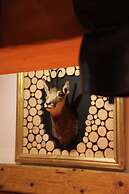 Hotel Cro-Bidou