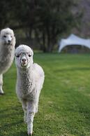 Rio Sagrado, A Belmond Hotel, Sacred Valley