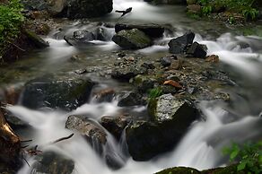 Shima Onsen Kashiwaya Ryokan