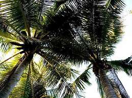 Pinctada McAlpine House