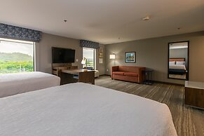 Hampton Inn & Suites Wilder