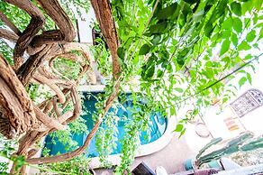 Hôtel & Spa Riad Dar El Aïla