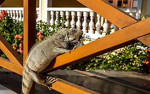 Hotel Villa Terra Viva