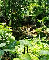 La Aldea de la Selva Lodge