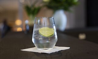 Dolphin Hotel Herning