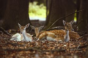 REGIOHOTEL Schanzenhaus Wernigerode